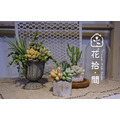 黏土多肉植物組盆設計-初階 黏土多肉植物組盆設計-初階