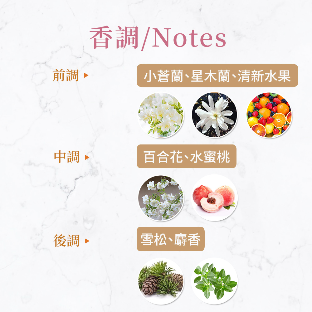 春漾夢境