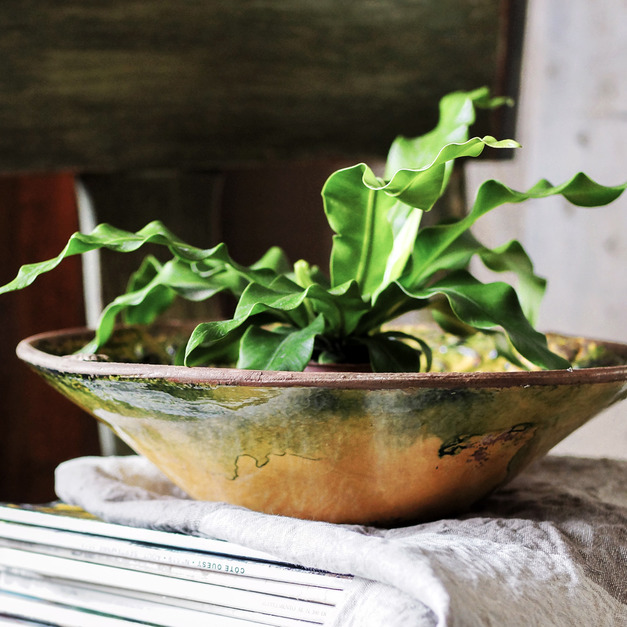 義大利 雕刻花低盆 義大利 雕刻花低盆