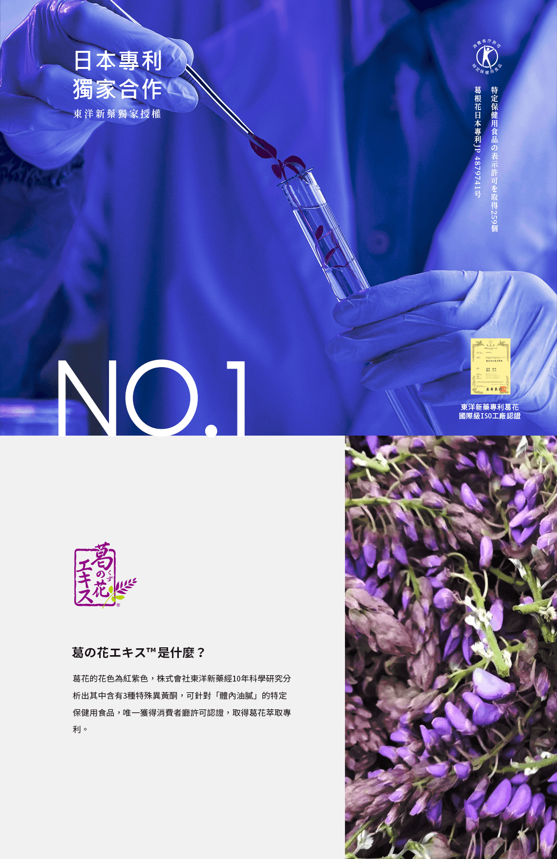 日本專利獨家合作,東洋新藥獨家授權