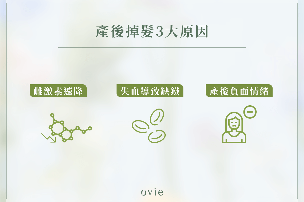 產後掉髮3大原因