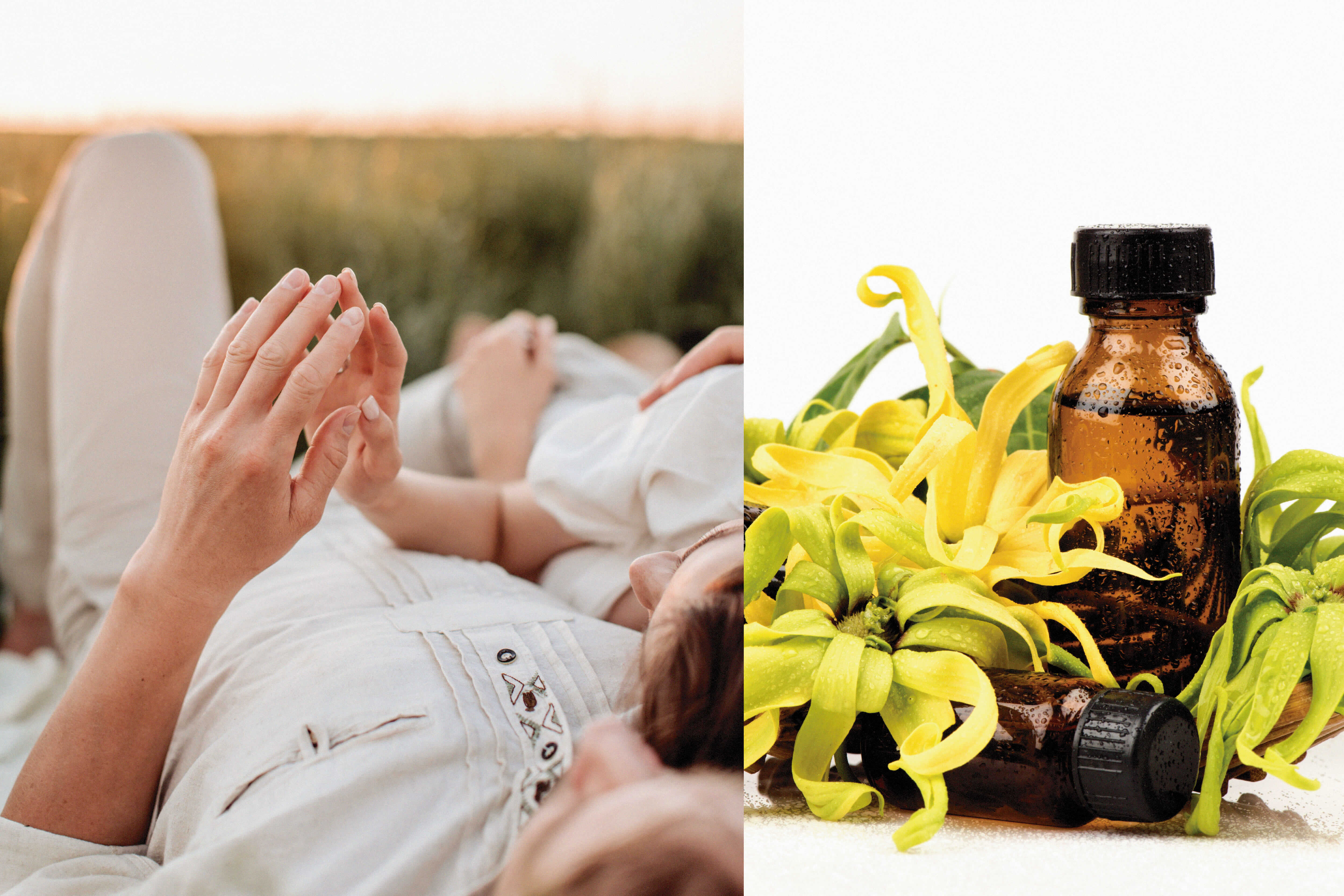 伊蘭伊蘭精油芳療緩解停經後更年期症狀、提升性慾