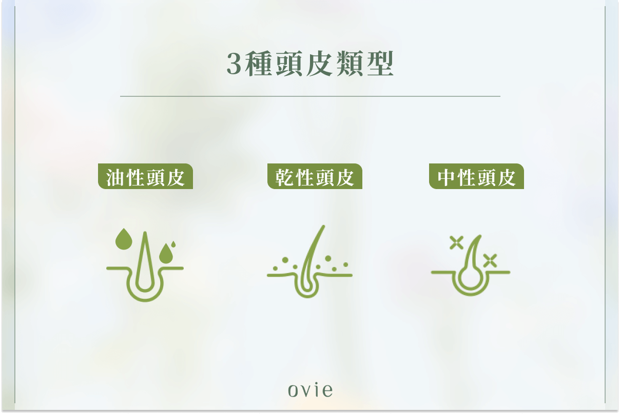 3種頭皮類型