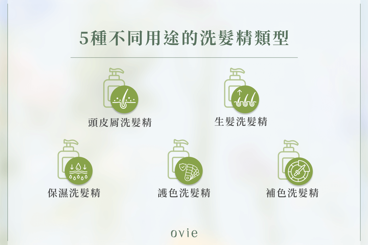 5種不同用途的洗髮精類型