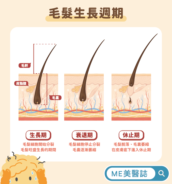 女生掉髮主要原因是什麼? 生理性掉髮