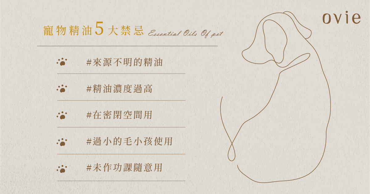 寵物使用精油禁忌有哪些?寵物精油該注意這些
