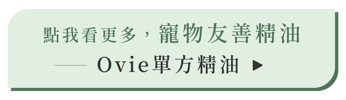 寵物能用的精油有哪些?寵物友善精油選購!