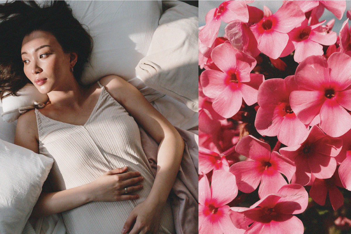 天竺葵精油香味功效幫助子宮治療,含女性婦科相關營養