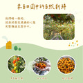 橙蜜香小番茄禮盒5斤/盒(不帶蒂頭出貨)_2 橙蜜香小番茄禮盒5斤/盒(不帶蒂頭出貨)_2