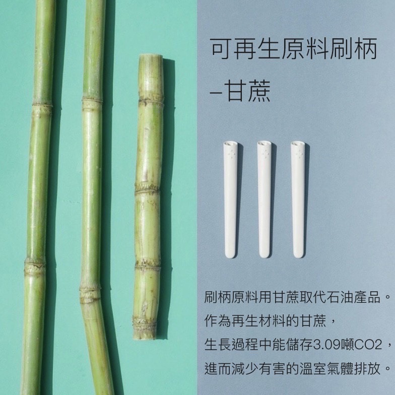 TIO 德國植物系環保牙刷-柔軟毛