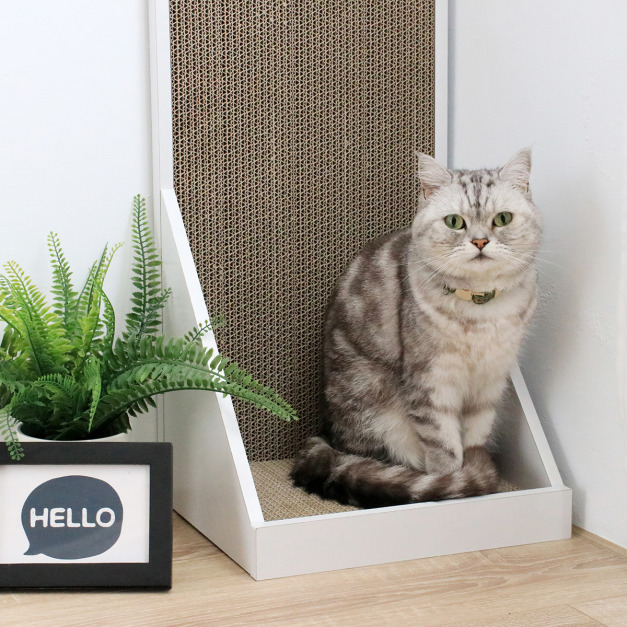 壁咚替換小抓板 (2片裝) 壁咚替換小抓板 (2片裝)