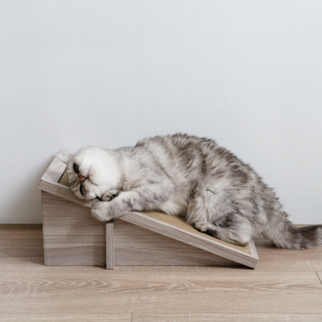 頑強 斜坡貓抓板 | 燕麥色 (贈送純天然木天蓼) 頑強 斜坡貓抓板 | 燕麥色 (贈送純天然木天蓼)