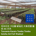 坦尚尼亞 卡拉圖 歐迪尼 大象莊園 藝妓 AA 水洗【咖啡豆225g】 坦尚尼亞 卡拉圖 歐迪尼 大象莊園 藝妓 AA 水洗【咖啡豆225g】