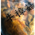 三帖 |三年半 牛樟芝椴木栽培子實體(濕菇)_1 三帖 |三年半 牛樟芝椴木栽培子實體(濕菇)_1