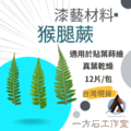 漆藝材料・猴腿蕨 漆藝材料・猴腿蕨