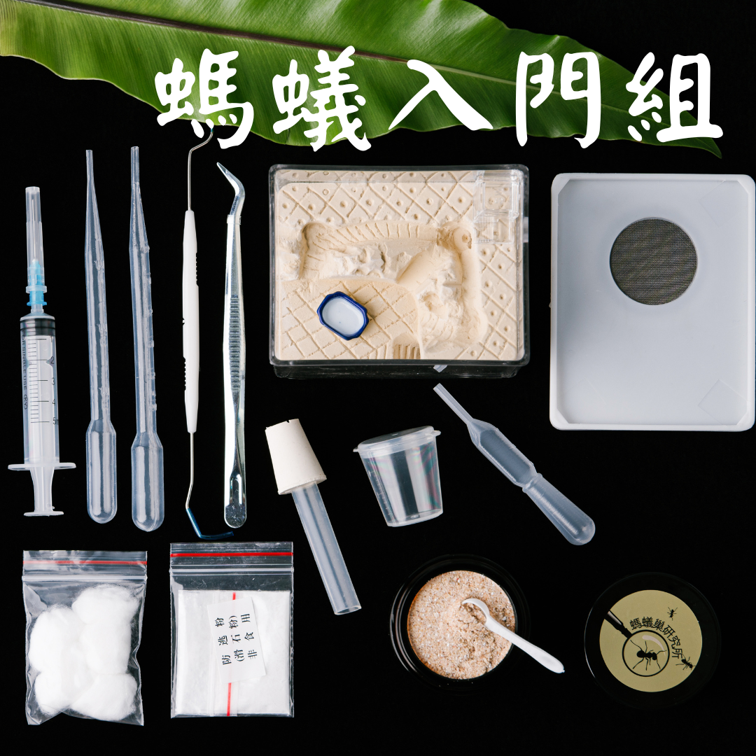 【螞蟻巢研究所】入門包、新手組合:螞蟻巢+蜂王乳螞蟻飼料+飼養工具包 創造自己的螞蟻帝國/養螞蟻/螞蟻窩,新手組合包