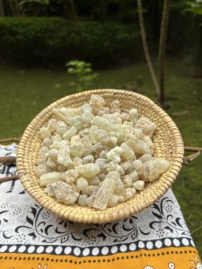 【3/20前預購價】阿曼神聖乳香樹脂(G1)-30g 【3/20前預購價】阿曼神聖乳香樹脂(G1)-30g