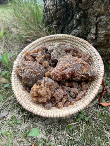 索馬利亞沒藥樹脂-35克 索馬利亞沒藥樹脂-35克