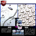 SZ|氟封體 300ML 防撥水超強 漆面如同鏡面_1 SZ|氟封體 300ML 防撥水超強 漆面如同鏡面_1