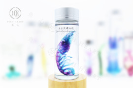 透明生物標本 - 美食奧螻蛄蝦 Austinogebia edulis【網路限定】 透明生物標本 - 美食奧螻蛄蝦 Austinogebia edulis【網路限定】