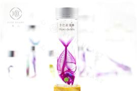 透明生物標本 - 吉打副葉鰺 Alepes djedaba【網路限定】 透明生物標本 - 吉打副葉鰺 Alepes djedaba【網路限定】