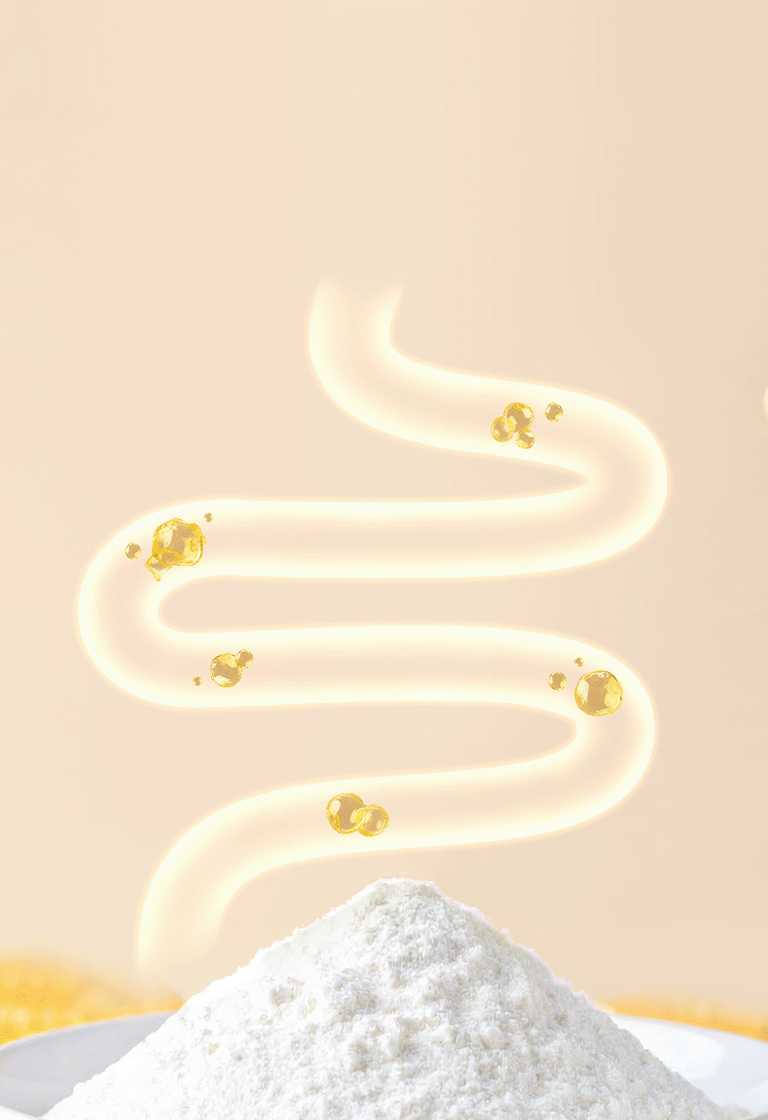 FIBERSOL®-2 膳食纖維