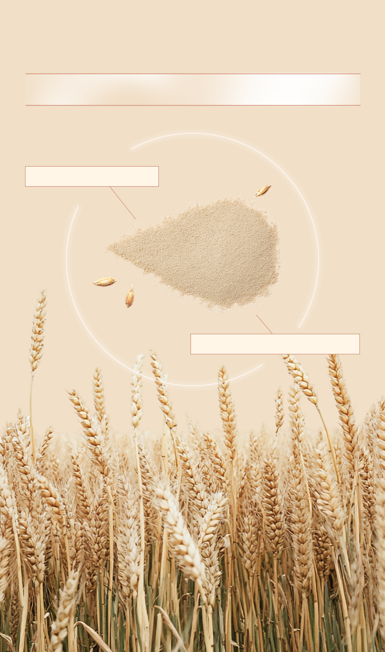 韓國專利酵母胜肽