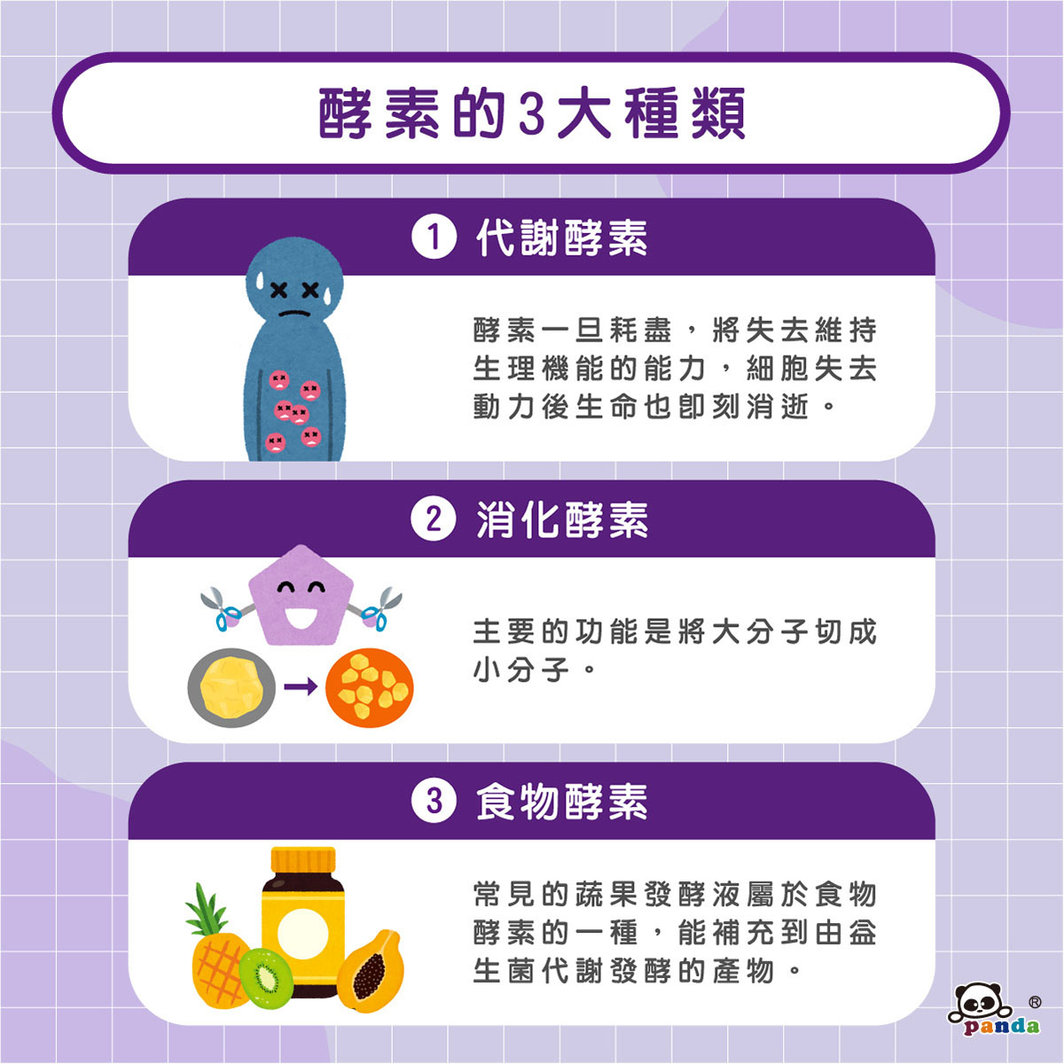 酵素的三大種類