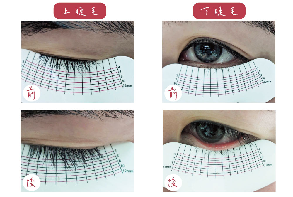 CHESS YV Stuff 肽蜂蔘炸睫毛精華液