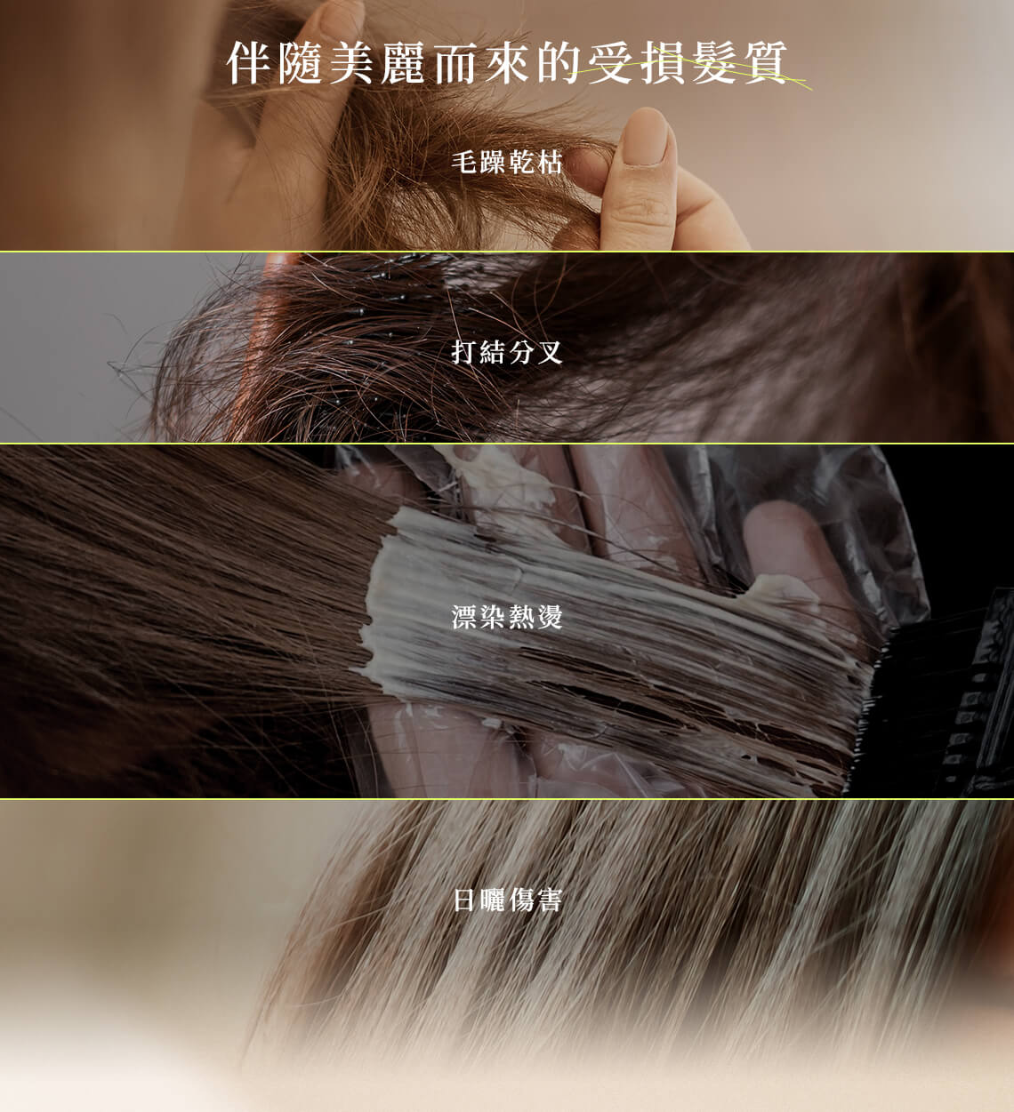 伴隨美麗而來的髮質受損:毛躁乾枯、打結分叉、漂染熱燙、日曬傷害,各種熱傷害,需要專業的髮質修護。