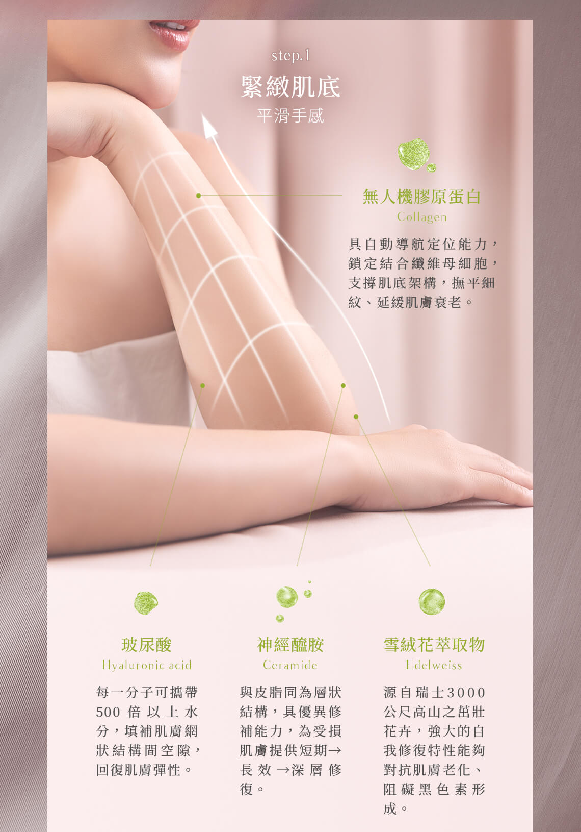為緊緻肌底添加無人機膠原蛋白、玻尿酸、神經醯胺、雪絨花萃取物,撫平細紋、延緩肌膚衰老。