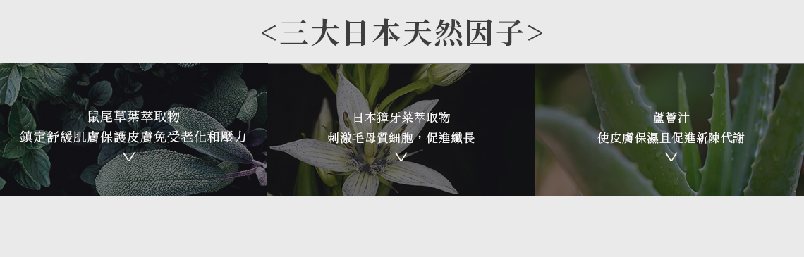 YV Stuff 肽蜂蔘炸睫毛精華液 添加7大美容成分,睫毛專屬的保養精華