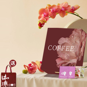 【送提袋】花富璀璨咖啡濾掛新年禮盒40入 【送提袋】花富璀璨咖啡濾掛新年禮盒40入