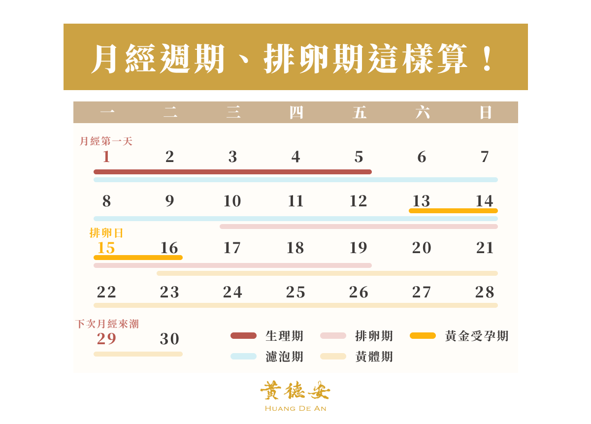 月經週期、排卵期這樣算!