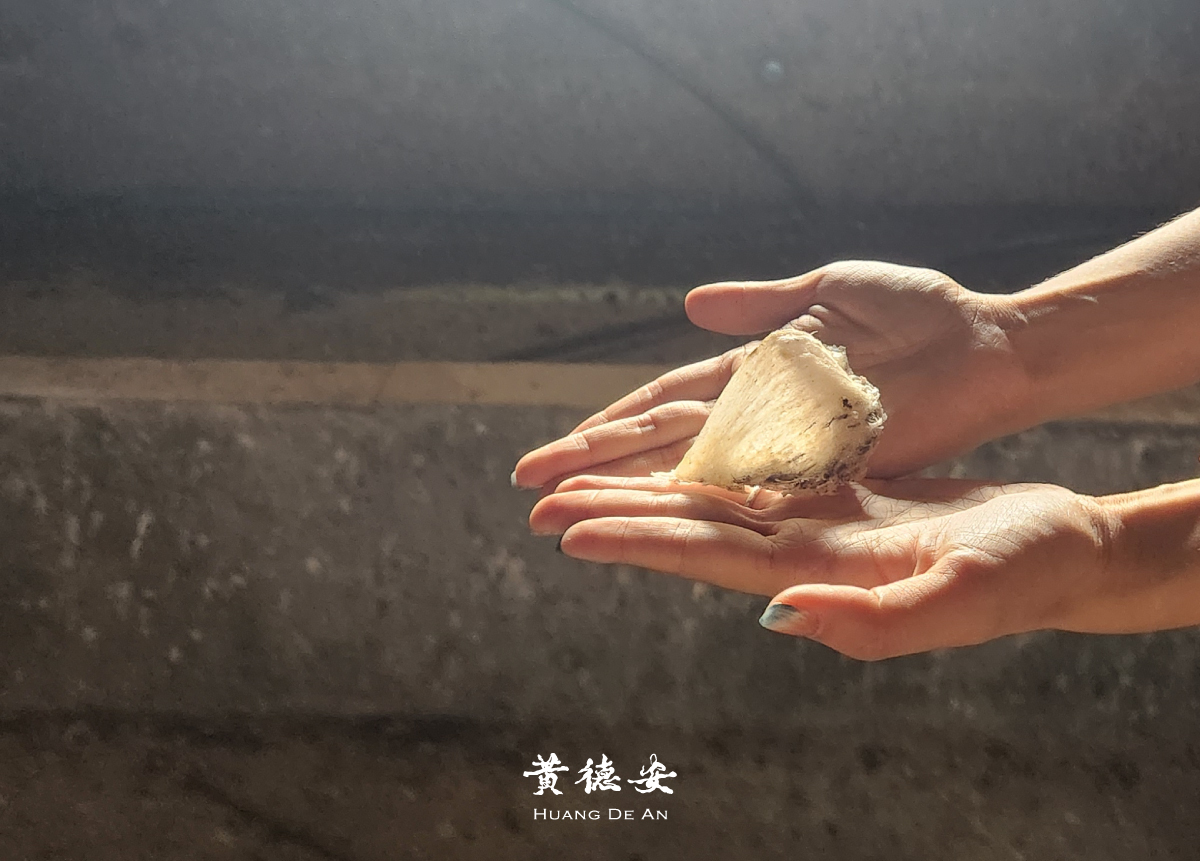 泰國燕屋實拍照