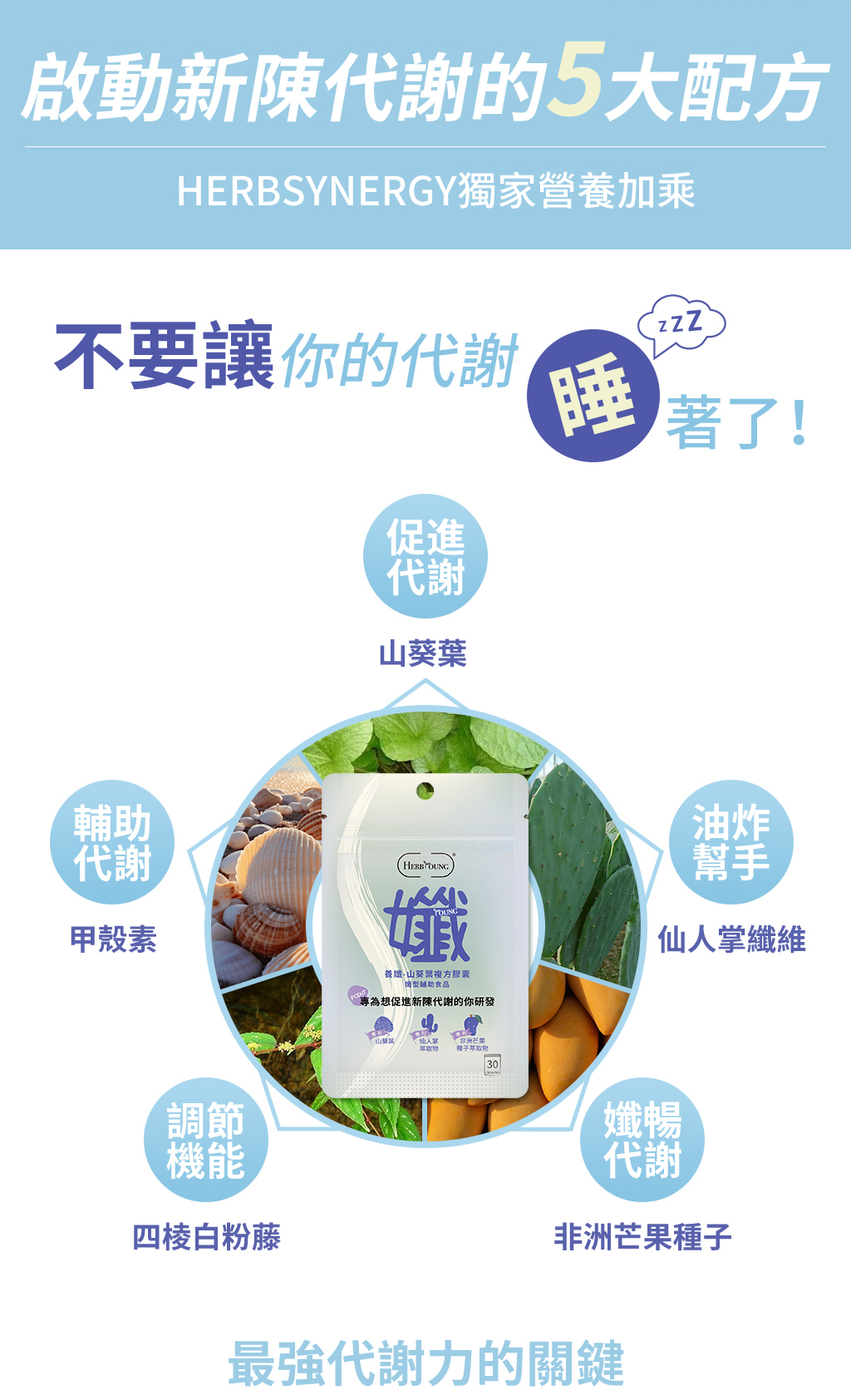 幫助你新陳代謝的成分