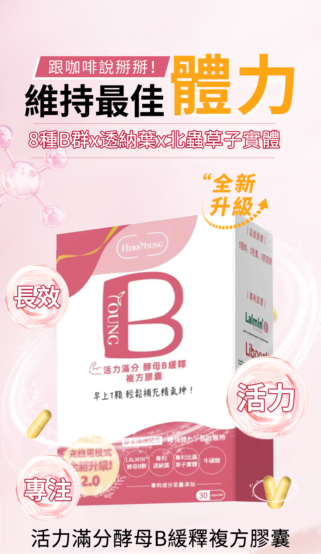 活力滿分2.0酵母b群,維持你一整天活力