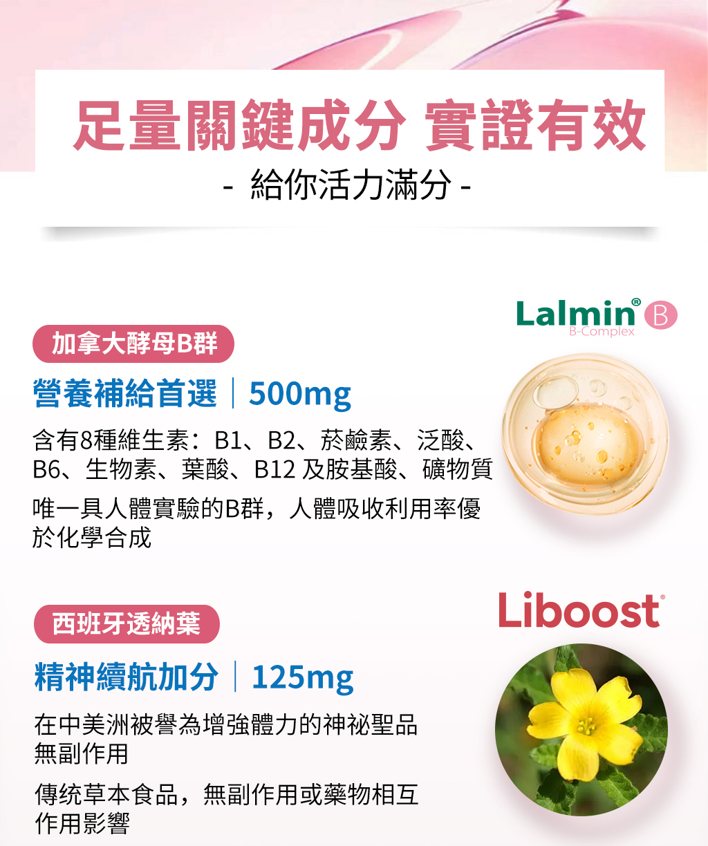選用lalmin天然酵母b,足量500mg