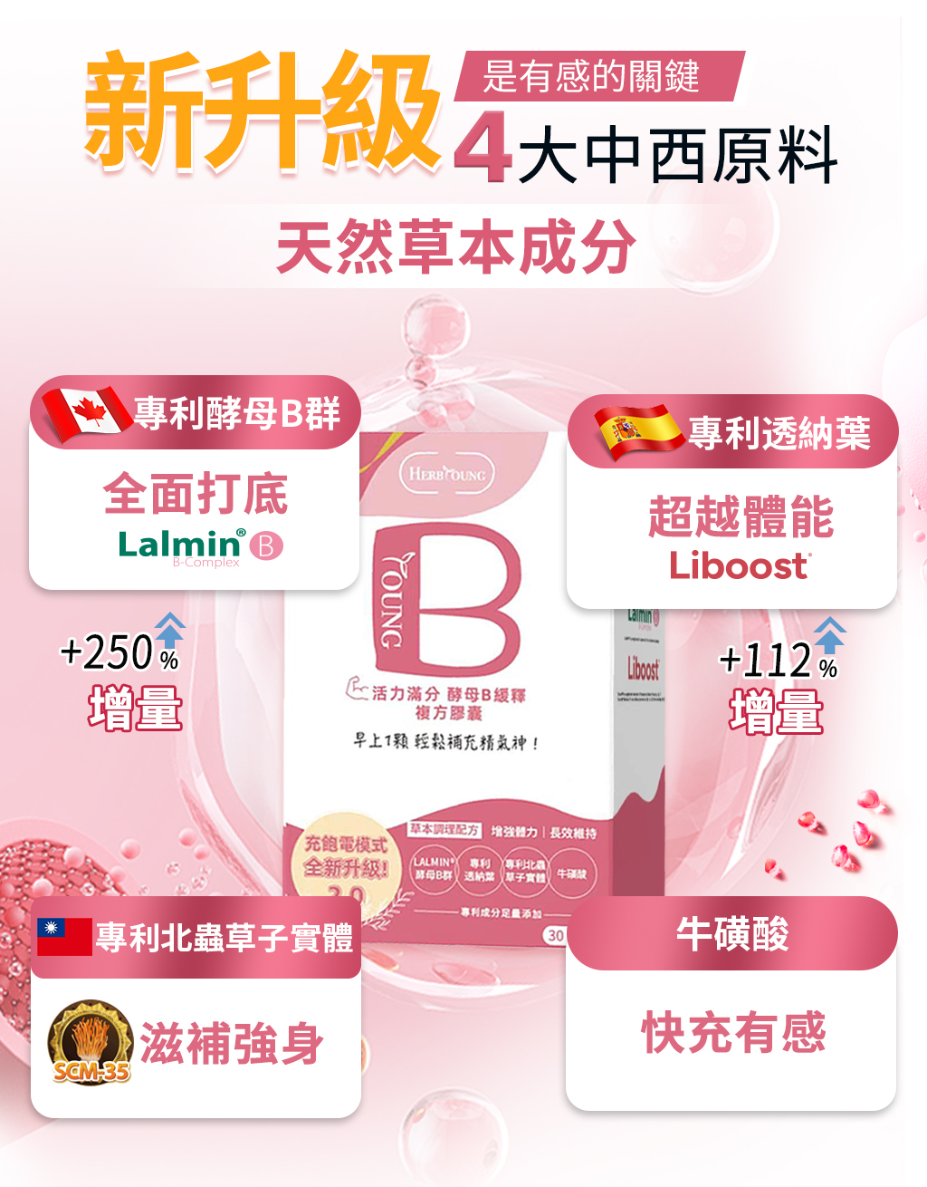 活力滿分2.0全新升級,使用Lalmin天然酵母b以及Liboost透納葉,續航力更佳