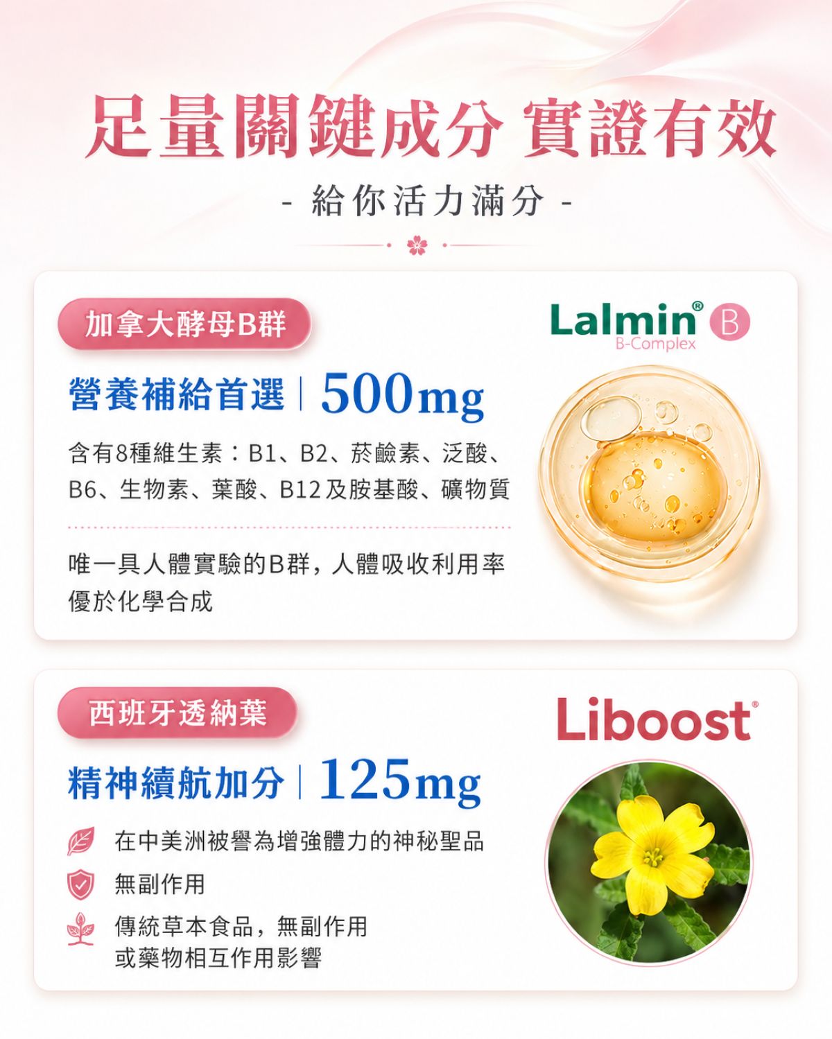 選用lalmin天然酵母b,足量500mg