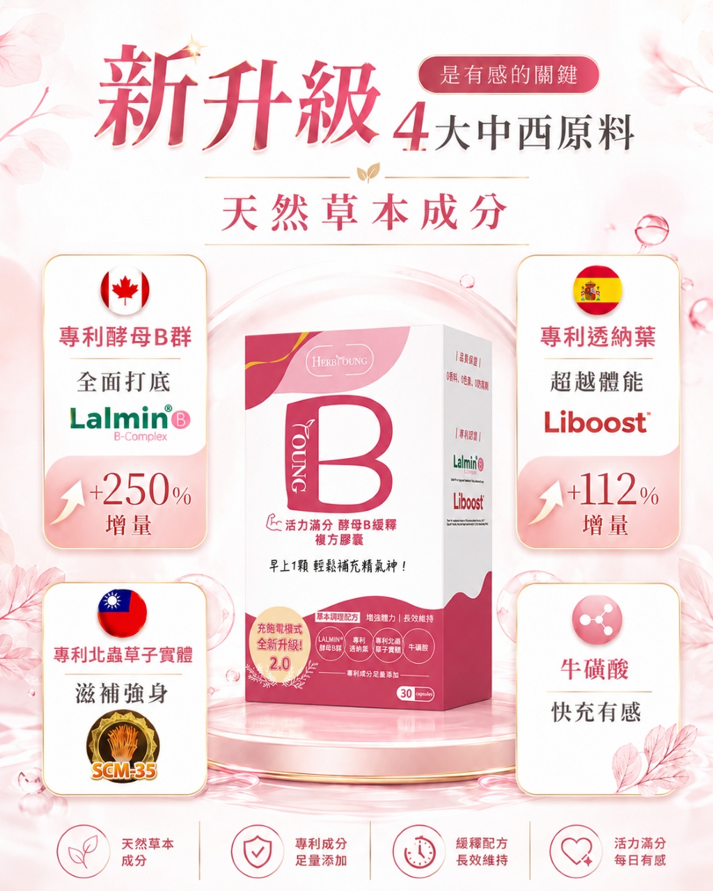 活力滿分2.0全新升級,使用Lalmin天然酵母b以及Liboost透納葉,續航力更佳