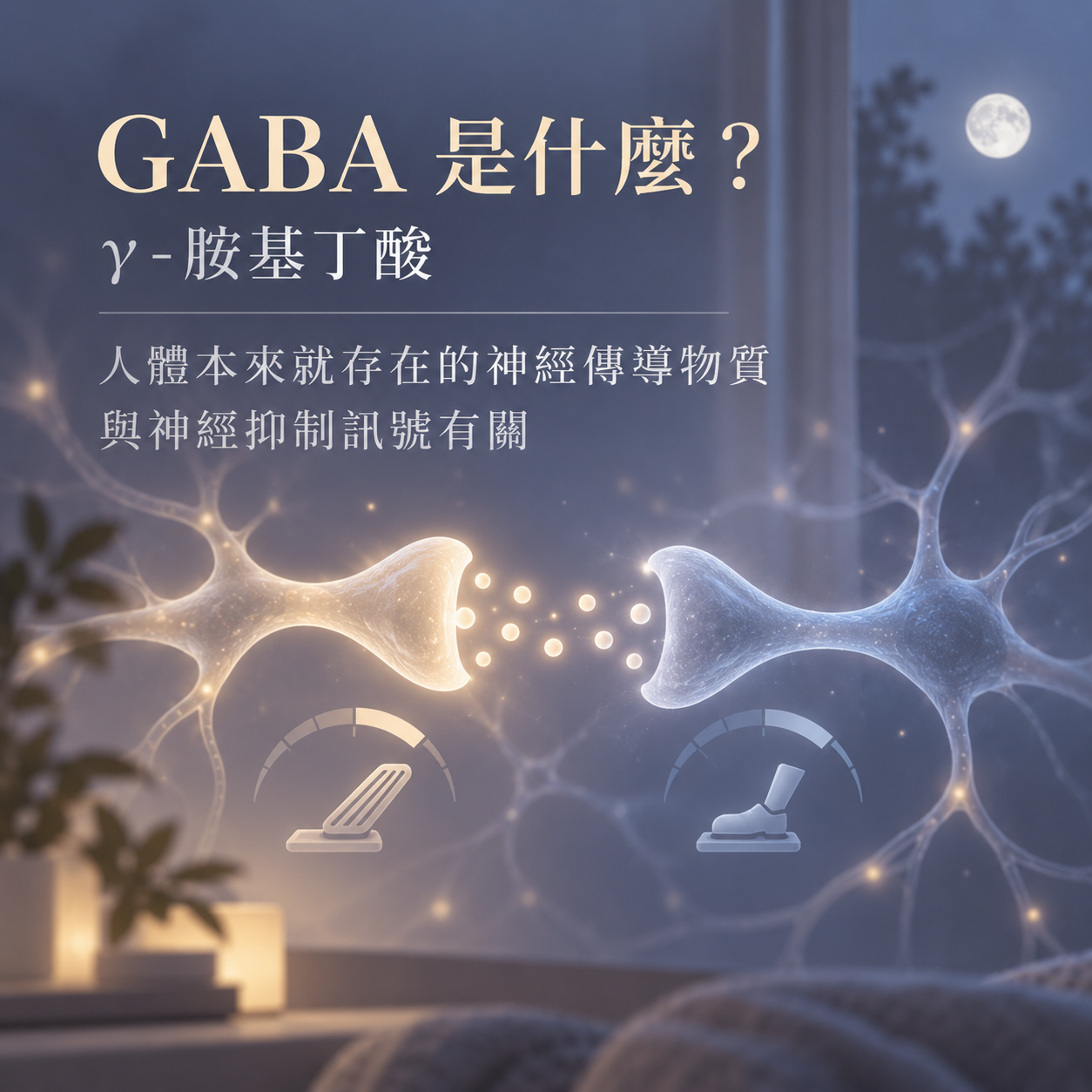 GABA是什麼以及GABA與睡眠人體研究的營養師解析