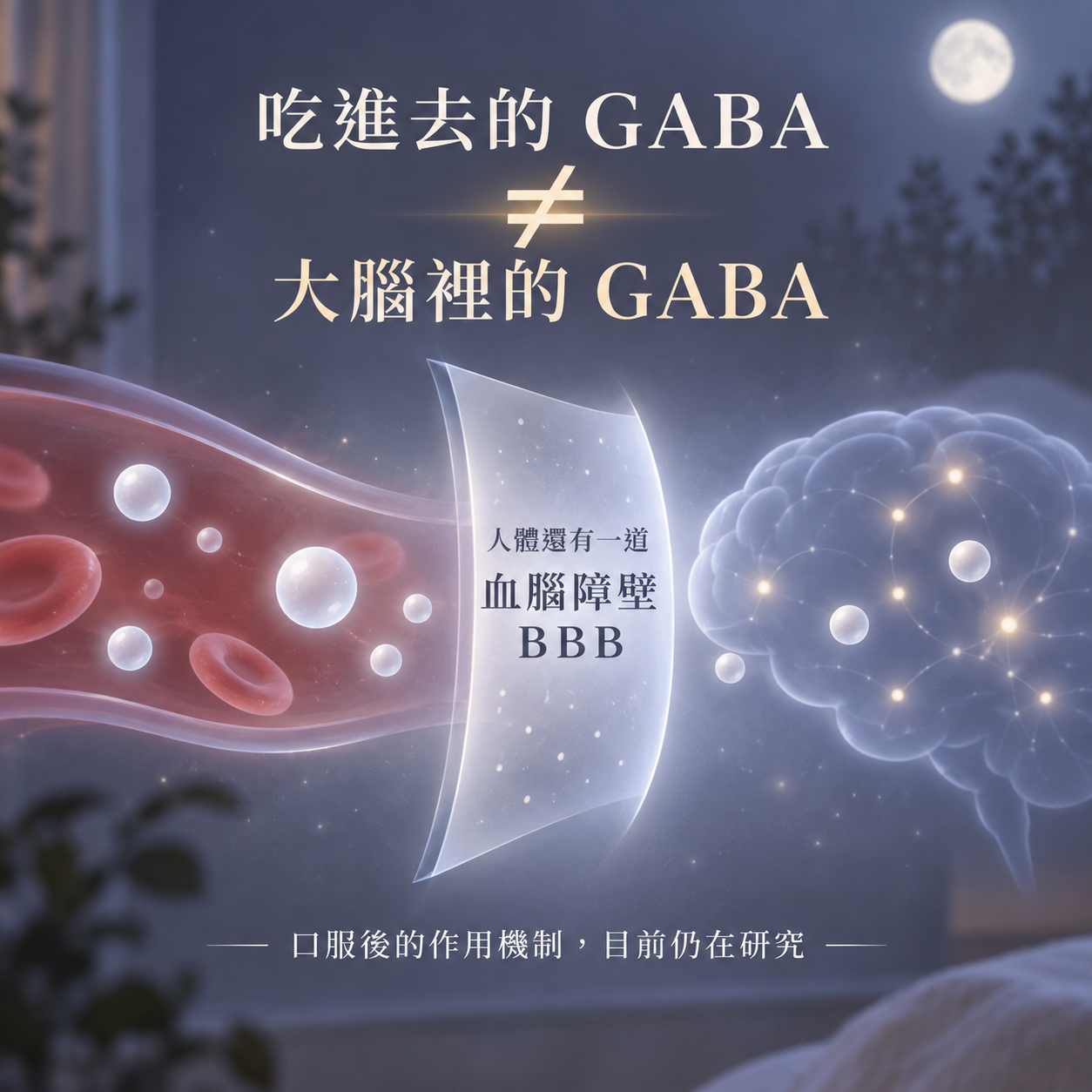 口服GABA與腦內GABA不能直接畫上等號並涉及血腦障壁