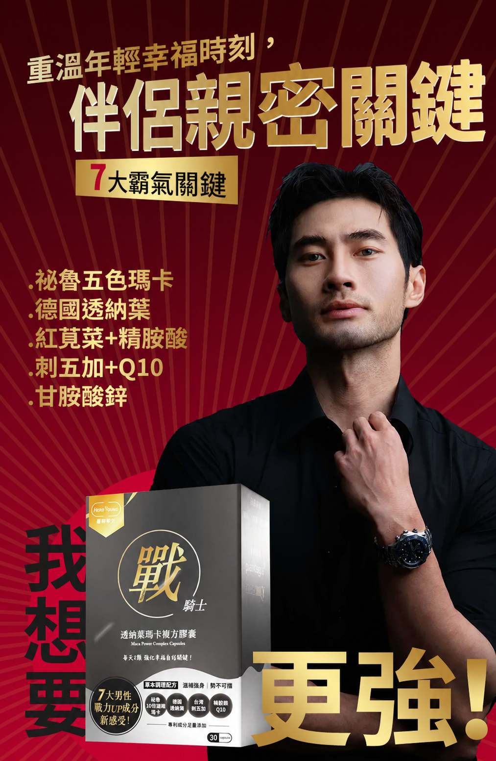 戰騎士成分