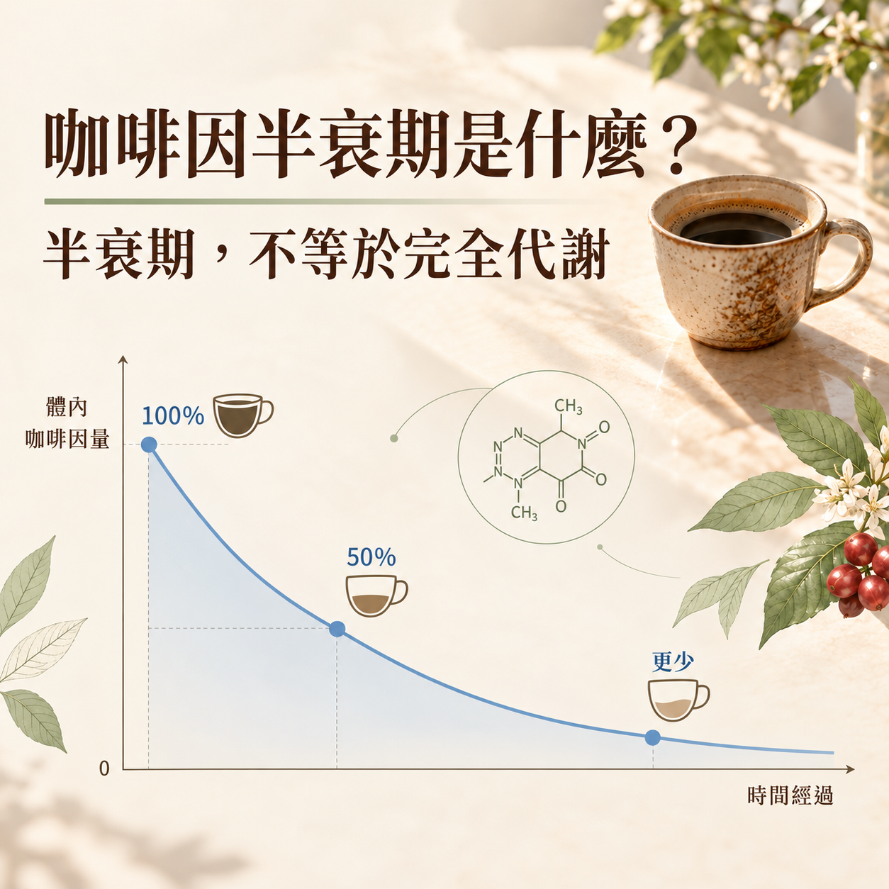 咖啡因半衰期示意圖,說明體內咖啡因濃度會隨時間逐漸下降,但不代表已完全代謝