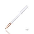 RS-702 星紀元系列鋼珠筆_7 RS-702 星紀元系列鋼珠筆_7