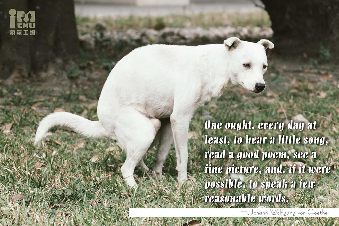 插页菜单,菜單設計,MENU,菜單裝定,餐廳用品,design,酒單設計,平面設計,高雄設計,台中設計,酒店用品展,國際餐飲用品,Photoshop,美食推薦,台北設計,米其林,Illustrator,設計菜單,平面設計,高雄菜單,美式餐廳,日式料理,咖哩菜單,咖啡菜單,早午餐菜單,早午餐