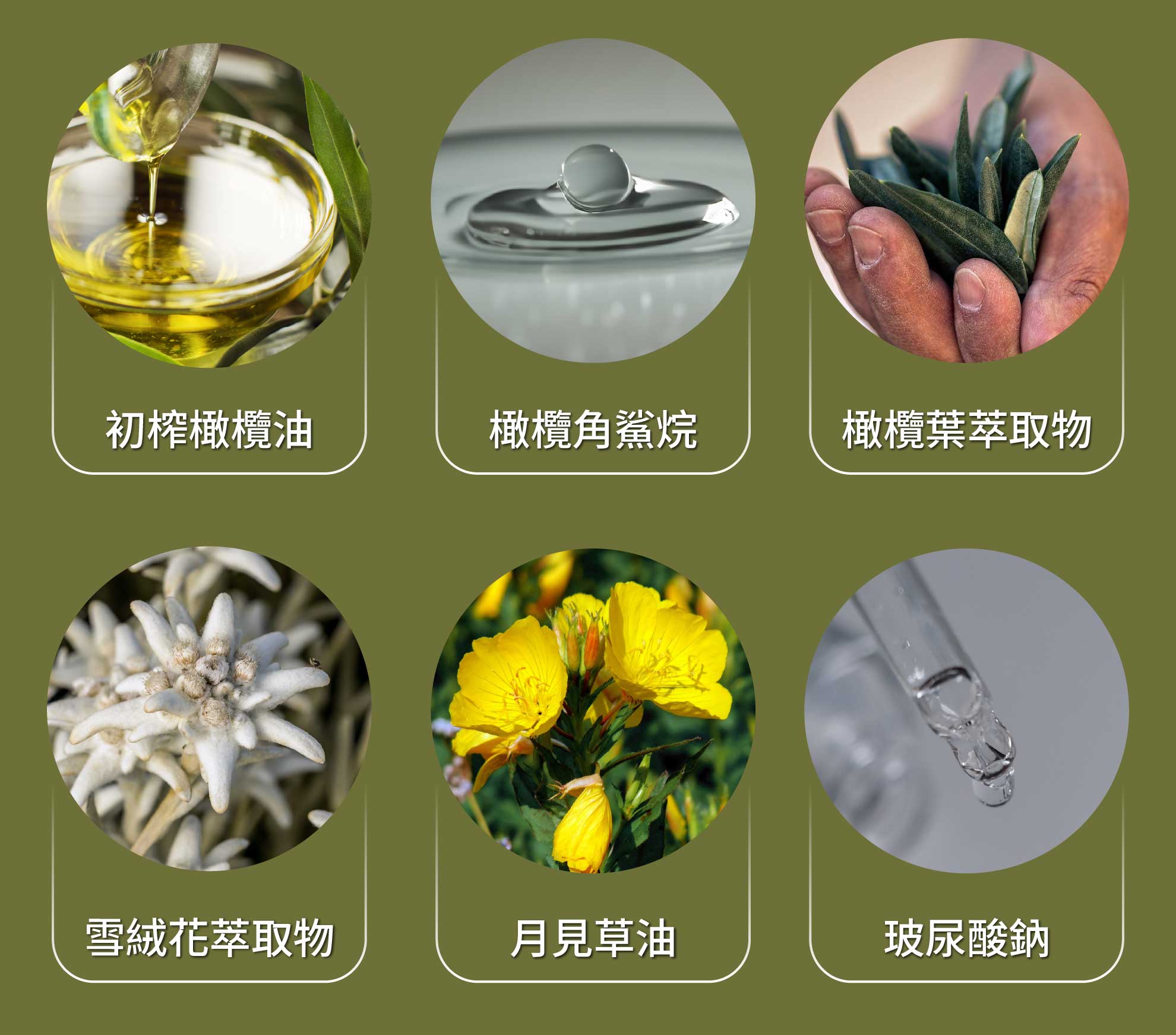 黑霜,保濕抗皺,雪絨花,抗老,修護