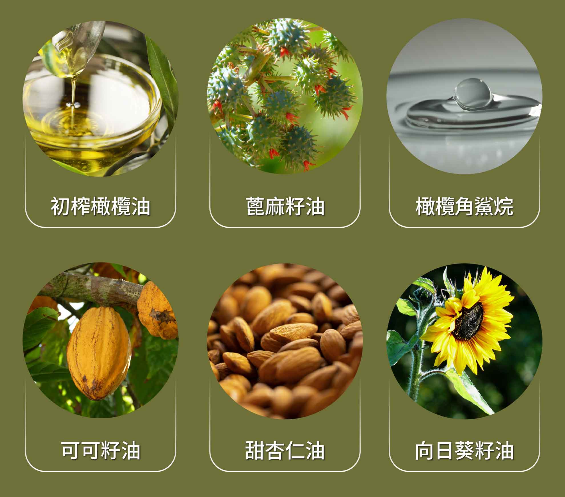 橄欖角鯊烷護唇膏
