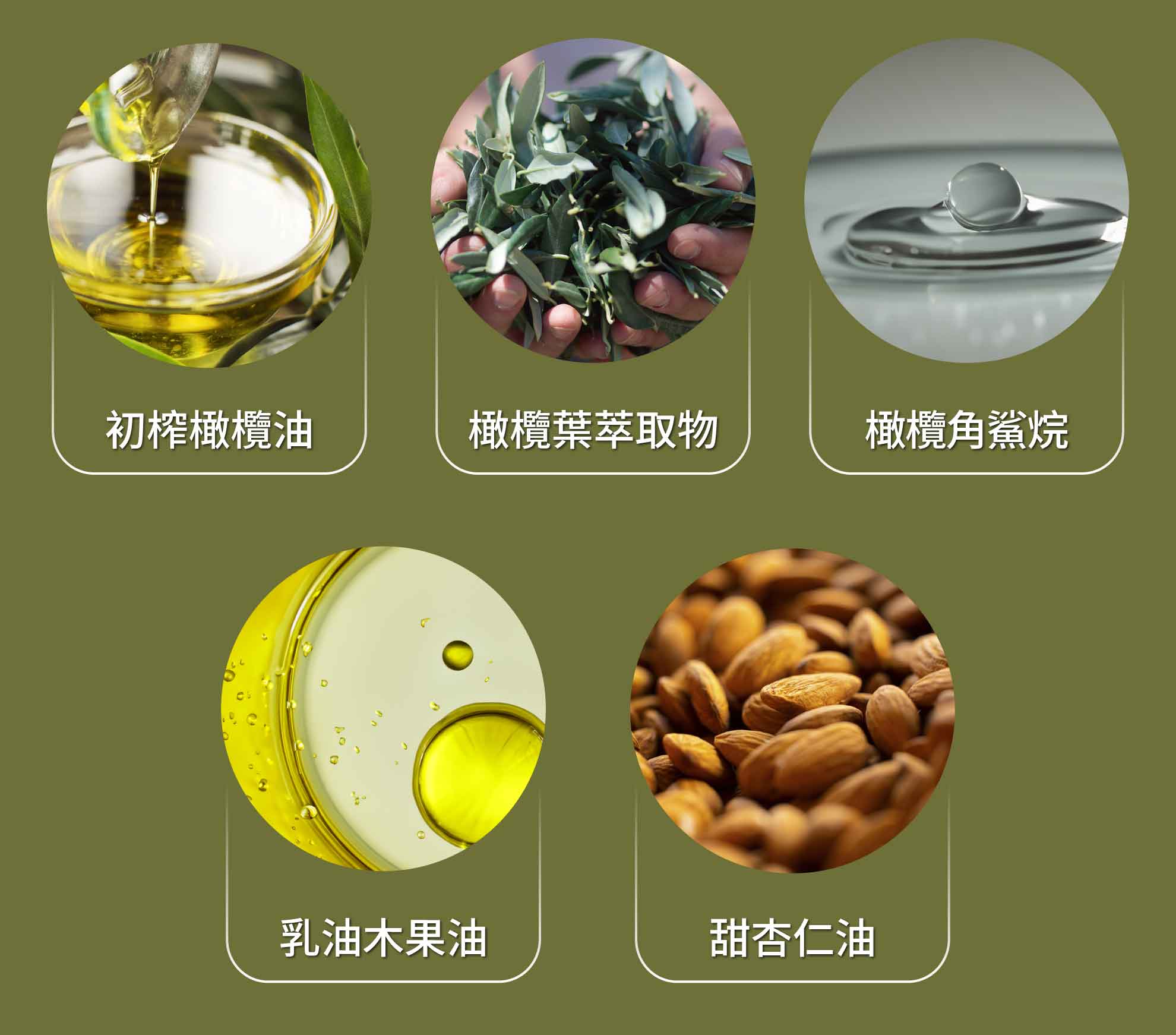 橄欖油身體保養